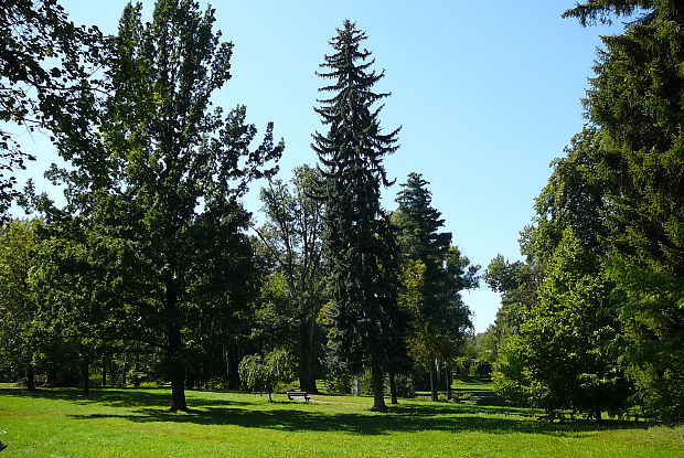 park Javorka