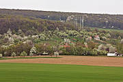  Jar v Radošovských vinohradoch