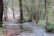  Stupavský potok  v okolí Borinky
