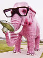 ružový slon - tak ma tu mate  >