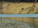 meandry řeky Moravy - erodovaný břeh