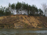 Meandry řeky Moravy - erodovaný břeh