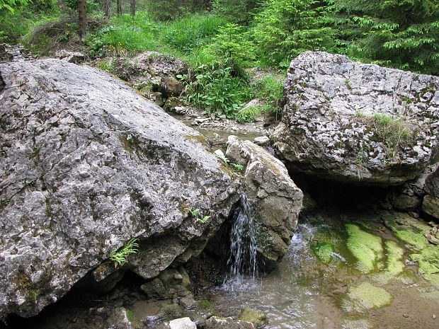 vodopády na potoku Malý Lipník v Jarabinskom prielome