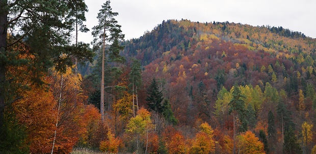 slovenský raj,jeseň.