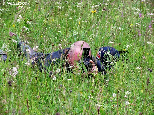 Kto sa  skrýva v tráve za foťákom?