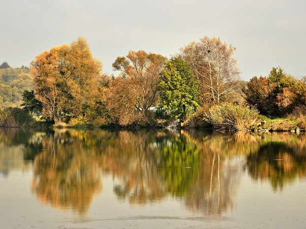stropkovský rybník