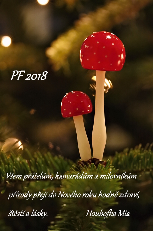 PF 2018