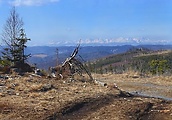 Pohľad z Prednej Gálovej na Vysoké Tatry