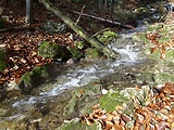 potok v Zejmarskej rokline