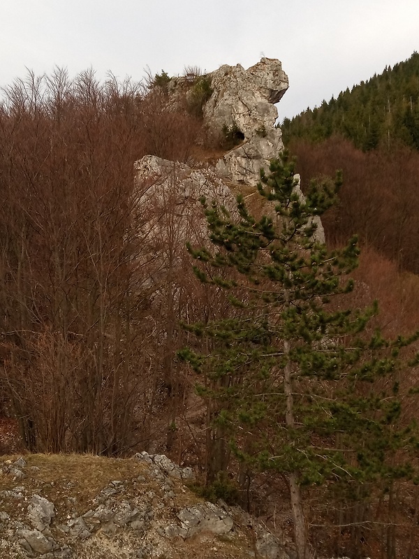Belské skaly 716 m.n.m.