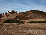 vrch Koniarky 1535 m.n.m. zo sedla Bublen 1510 m.n.m.