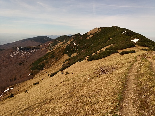vrch Stratenec 1513 m.n.m. a Biele skaly 1448 m.n.m. zo sedla Priehyb 1452 m.n.m.