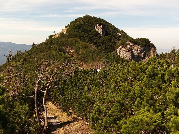 vrch Suchý 1468 m.n.m. zo stúpania od vrchu Biele skaly 1448 m.n.m.