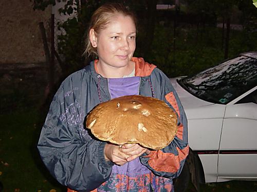 môj úlovok roka 2003