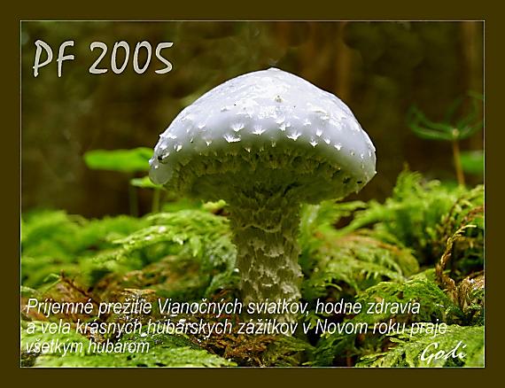 pF 2005