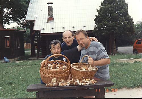 hubári-Vlado, Peter, Julo