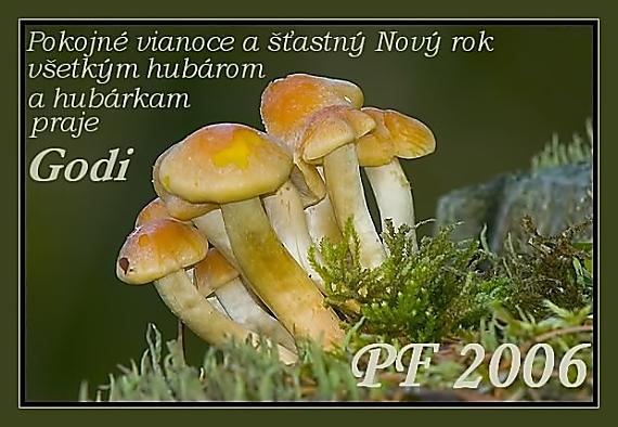 pf 2006