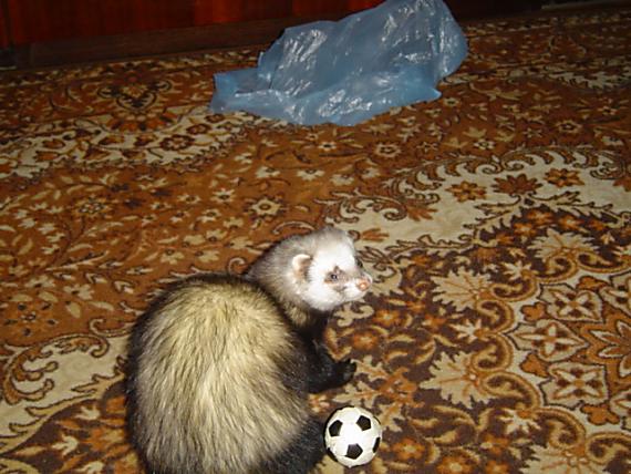 pelé.