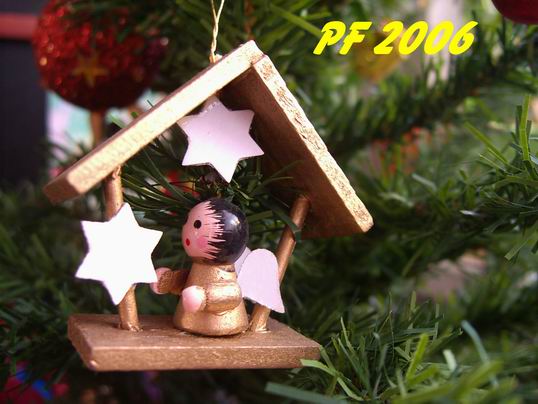 pF 2006