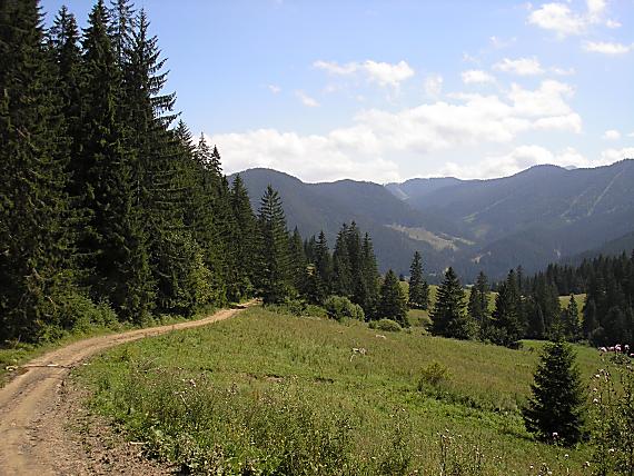 krása