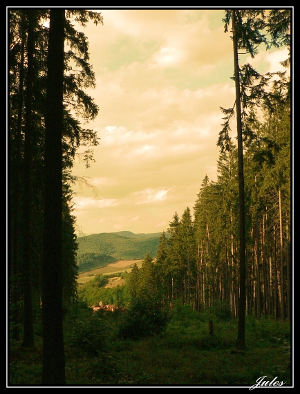 smrekový les v Hrochoti