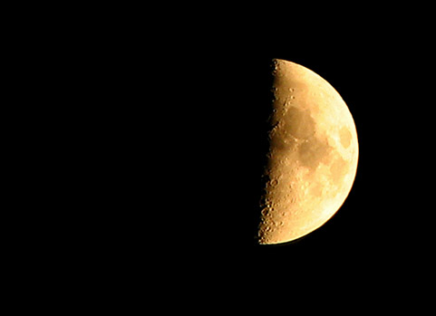 masjačik Luna lunovita