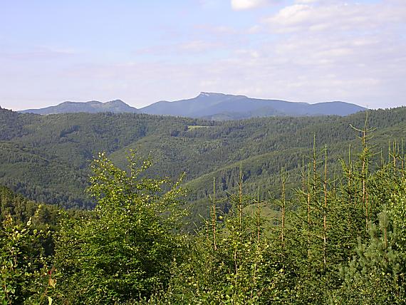 pohľad na Kľak (1352 m)