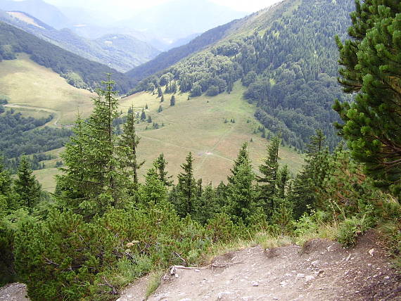 pohľad z Veľkého Rozsutca