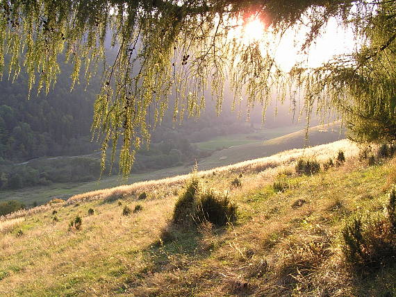 "Posledné lúče "