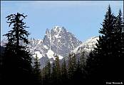 "Castle mountain".