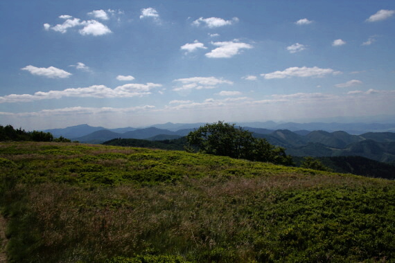 pohľad z kopca Veterná