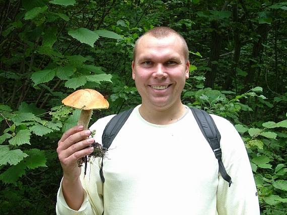 kozák osikový a ja Leccinum albostipitatum den Bakker & Noordel.