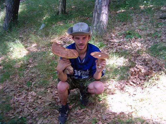 hríb dubový Boletus reticulatus
