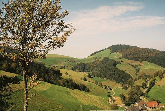 schwarzwald