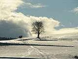 strom