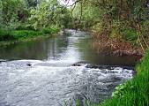 rieka Cirocha