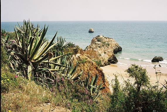 algarve Algarve
