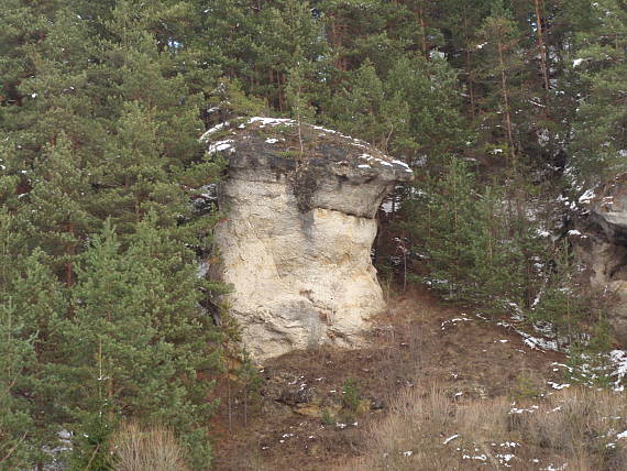 cHPV Ľupčiansky skalný hríb