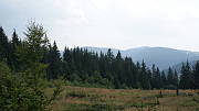 lesy v okolí Turčeka