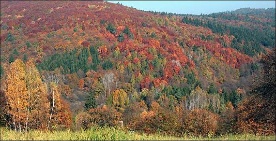strážovské vrchy jeseň 2009