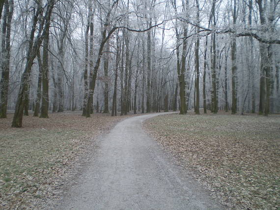 trebišovský park