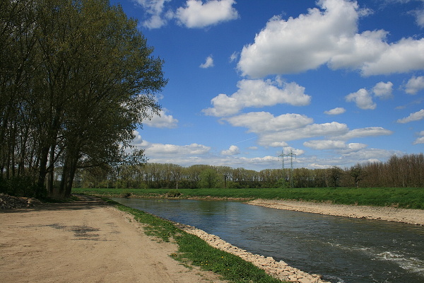 řeka Morava mezi Bzencem a Strážnicí