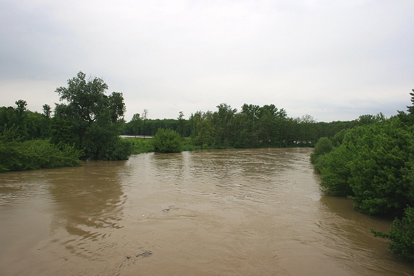 řeka Morava mezi Bzencem a Strážnicí