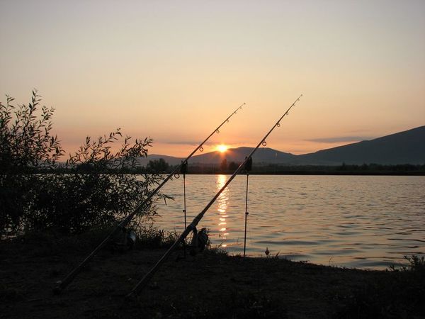 ráno na rybách
