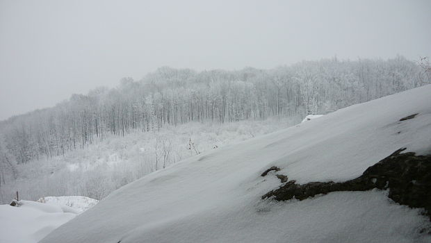 zimné Malé Karpaty