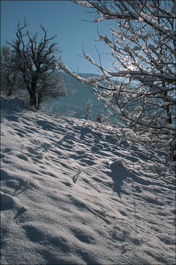 zátišie zima  2010