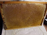 B-čkový rámik plný medu 