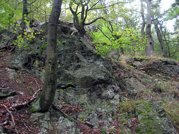 Prírodná rezervácia Považský Inovec
