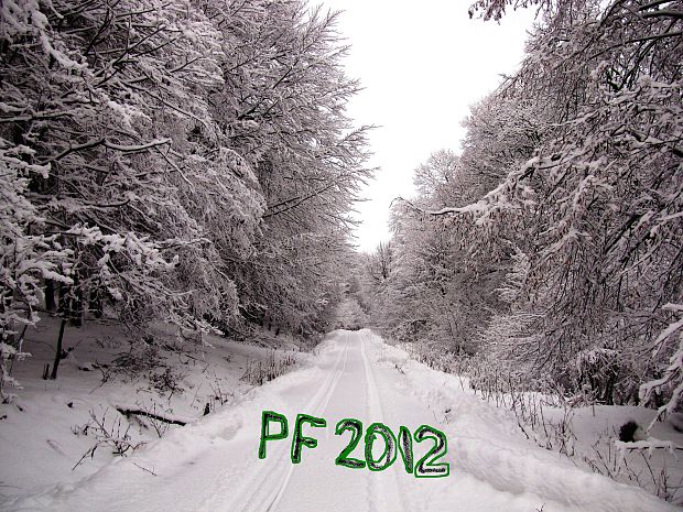 PF 2012