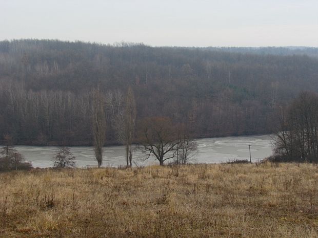 Petrovec-rybník